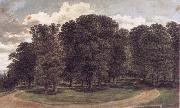 John glover The copse oil painting artist